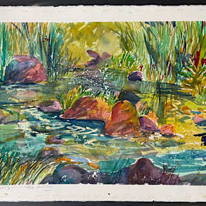 Dragonfly – Turtle Hunting by The Estate of Don Blaisdell