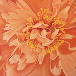 Coral Peony by Margaret Galvin Johnson