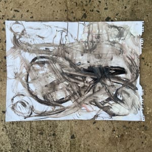 How magical and strange, what can become of dirt by Nicole Sylvia Javorsky 