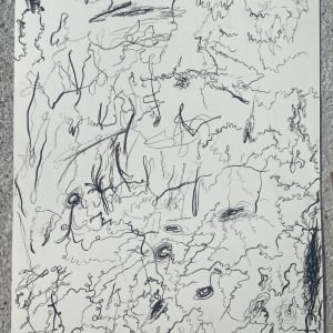 Jumping through black holes by Nicole Sylvia Javorsky 