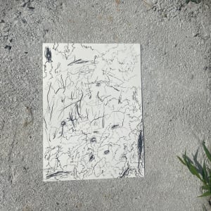 Jumping through black holes by Nicole Sylvia Javorsky 
