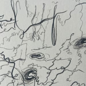 Jumping through black holes by Nicole Sylvia Javorsky 