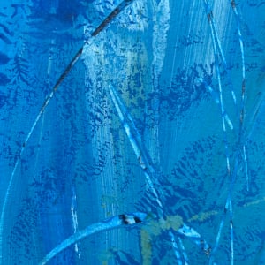 Whoosh, yeah by Nicole Sylvia Javorsky 