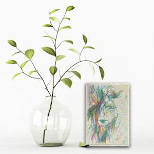 Seeing what is and through to what can be, what will be by Nicole Sylvia Javorsky 