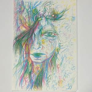 Seeing what is and through to what can be, what will be by Nicole Sylvia Javorsky 