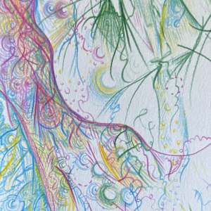 Through the lens of a tree's trunk, and back again by Nicole Sylvia Javorsky 