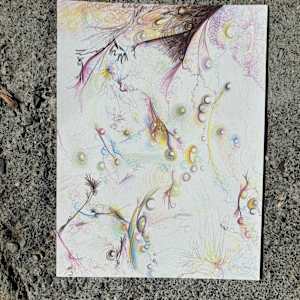 Whispers of something beyond by Nicole Sylvia Javorsky 