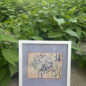 A beautiful blip in time by Nicole Sylvia Javorsky 