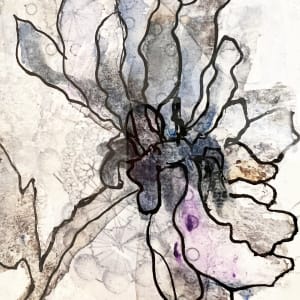 Chrysanthemum  Image: closeup