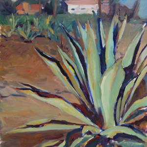 Solana Beach Succulents by Julia Solazzo Art