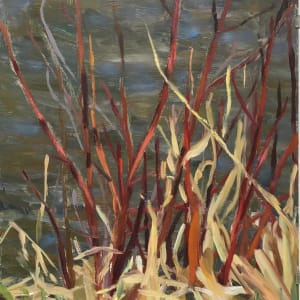 Thicket by Suzanne Shope