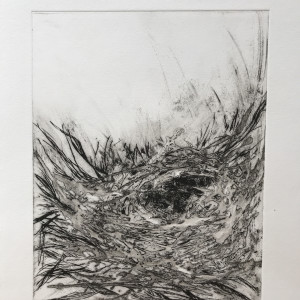Nest I by Maureen Shaughnessy 