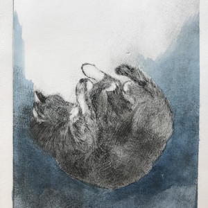 Falling Asleep by Maureen Shaughnessy 