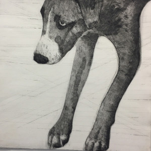 Grey Dog by Dawn Endean