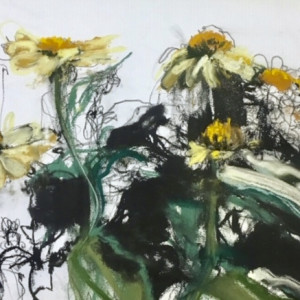 Coneflowers in Bright, Hot Summer by April Coppini