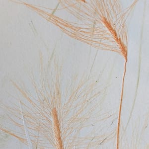 Wait for Me Here (V.E. 2) by Maureen Shaughnessy  Image: Detail of grass seed heads embossed in cotton rag paper