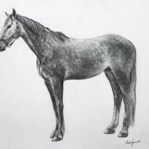 Horse Nr.1 by Kristine Skipsna