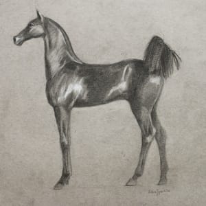 Horse Nr.2 by Kristine Skipsna