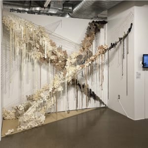 Weird skin project_immersive by Seonyoung Lee