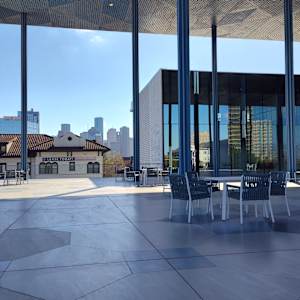 Downtown Houston Skyline by Paul Shain, Image 6.