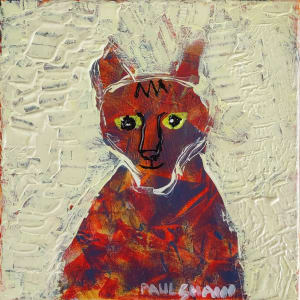 Pied Cat by Paul Shain