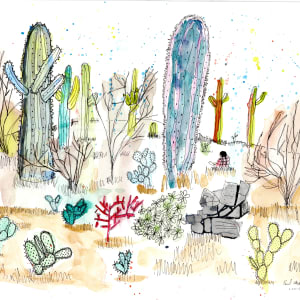 Saguaros by Paul Shain