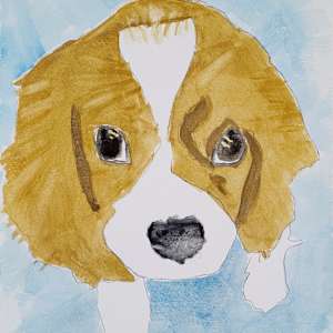 Sollie by Paul Shain, Image 1.