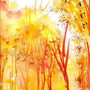 Note card: Autumn Forest by Paul Shain