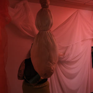 Emergence by Lex R. Thomas 