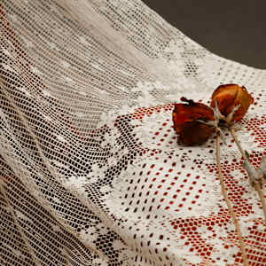 Stasis by Lex R. Thomas, Image 4.