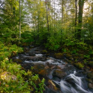 Fall Stream by Morning Light by James Rodewald