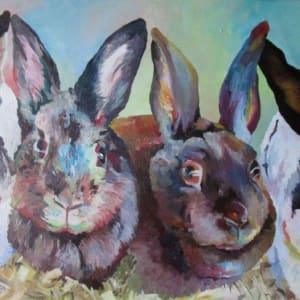 Rabbits Don't Trust You by Linda Peterson