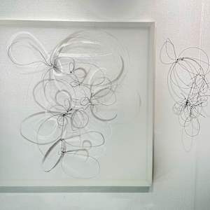 Wire and its shadow on transparency by Melissa McDonough, Image 1.