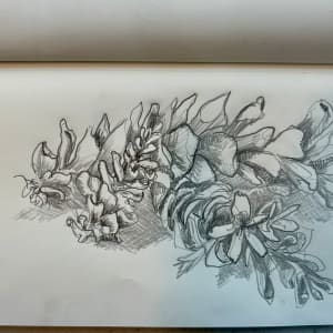 Pinecones and small flowers by Melissa McDonough-Borden