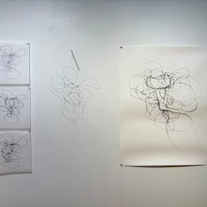 One Wire with Multiple Shadows by Melissa McDonough, Image 12.