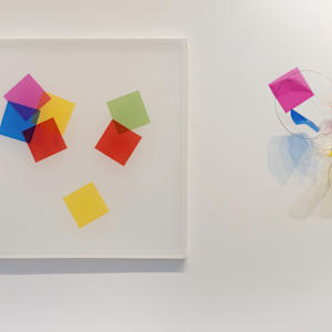 Dimensional Adjustment by Melissa McDonough, Image 6.