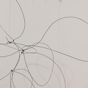 One Wire with Multiple Shadows by Melissa McDonough, Image 10.