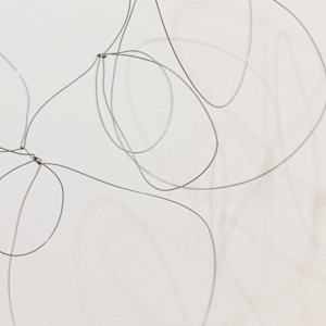 One Wire with Multiple Shadows by Melissa McDonough, Image 9.