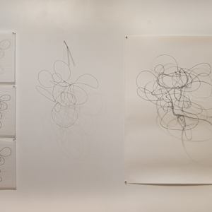 One Wire with Multiple Shadows by Melissa McDonough, Image 15.