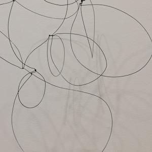One Wire with Multiple Shadows by Melissa McDonough, Image 5.