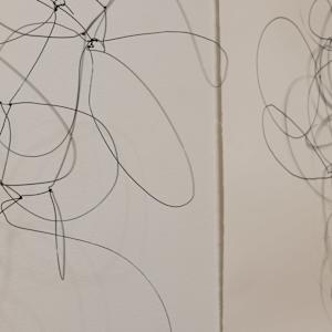 One Wire with Multiple Shadows by Melissa McDonough, Image 6.
