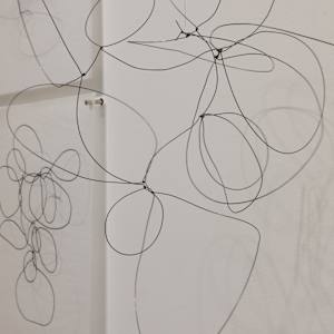 One Wire with Multiple Shadows by Melissa McDonough, Image 3.