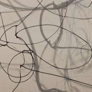 One Wire with Multiple Shadows by Melissa McDonough, Image 7.