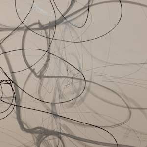 One Wire with Multiple Shadows by Melissa McDonough, Image 8.