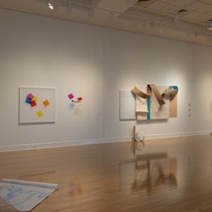 Dimensional Adjustment by Melissa McDonough, Image 11.