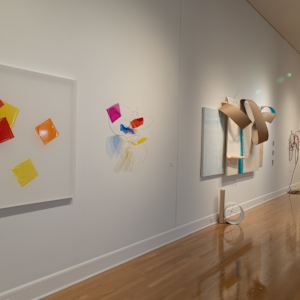 Dimensional Adjustment by Melissa McDonough, Image 10.