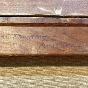 Catalena Mountain Arizona by Harry Wagoner 