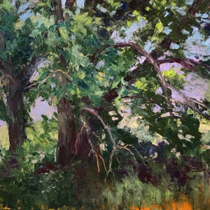 Beauty of Oak Trees by Marsha Hamby Savage