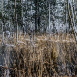 Januar by Marcel Kruse