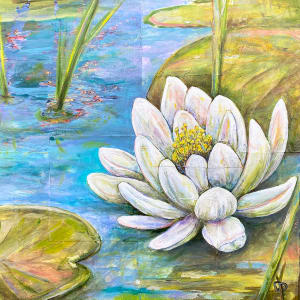 Boston Pond Lily by Delphine Peller, Image 1.